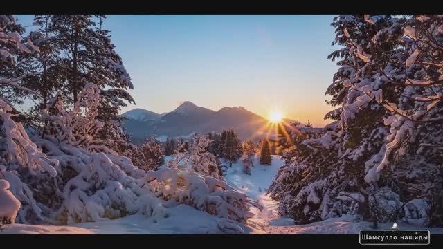 #Islam#Quran#TaHa#ٌMinshawiy#Коран#СурТаХа#СамыеКрасивыеМеста#Relaxation#4кВидео#8часть#