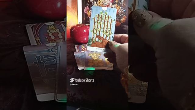это ваш расклад новости от колоды белый кролик 💯♥️🙏@alyataro #таро #tarot #таролог