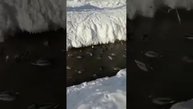 VID 20190130 WA0004