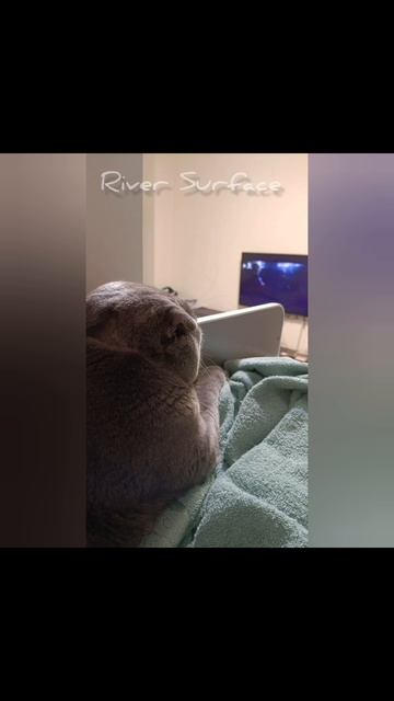 спасибо большое за 5 речушек ❤️ / кв / River Surface 🪽 / 🤔🍿
