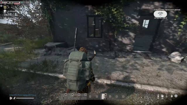 Dayz