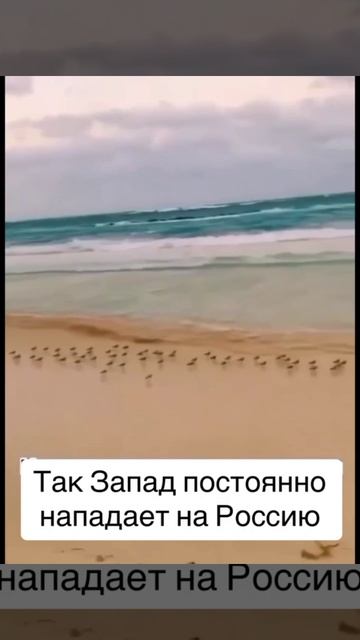 Так  запад  постоянно нападает  на  Россию.