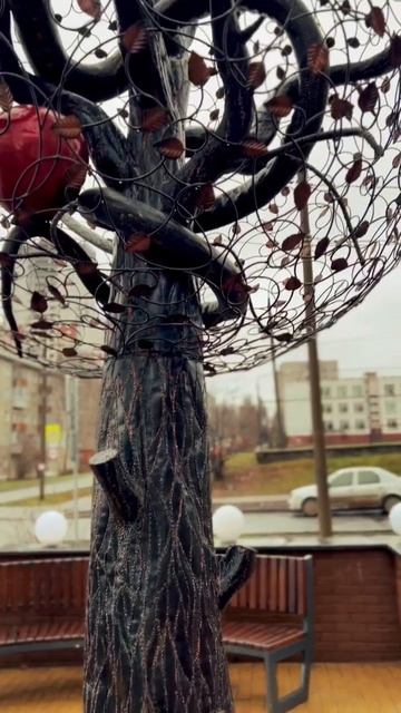 Райское дерево (г. Киров)