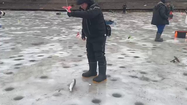 Поимка на поставушку