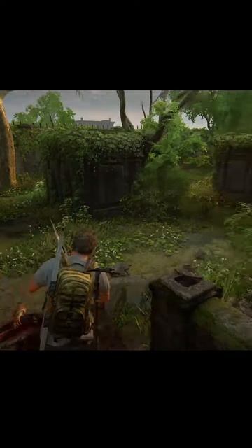 The last of us 👑