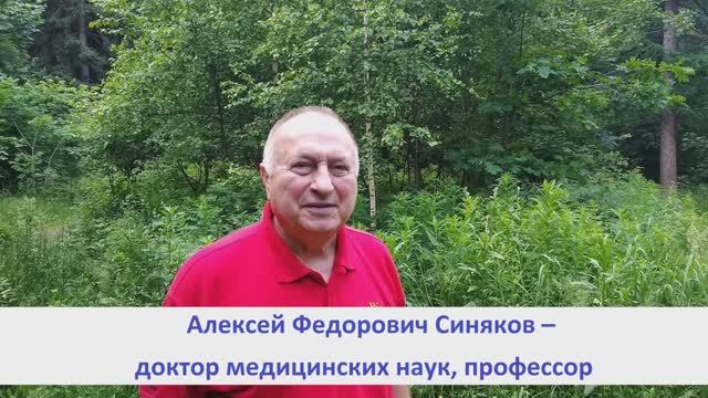 Сила березы: целебные рецепты