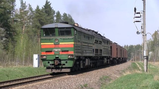 2ТЭ10М-3139 (2ТЭ10МК-3139) / 2TE10M-3139 (2TE10MK-3139)