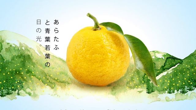 MARIGOLD PEEL FRESH Select Yuzu - Harvest the Bliss of Premium Yuzu