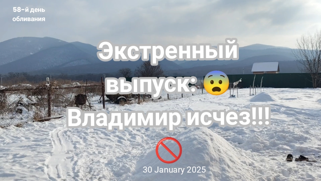🚨 Экстренный выпуск: Владимир исчез!!! 🏃