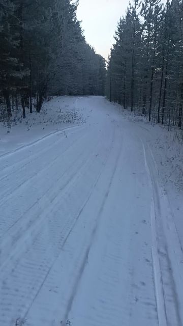 лыжи
