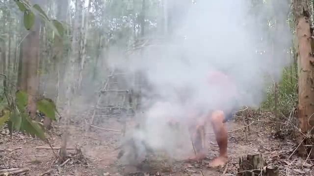 20 Days Survival Challenge In A Rain Forest By Primitive Skills