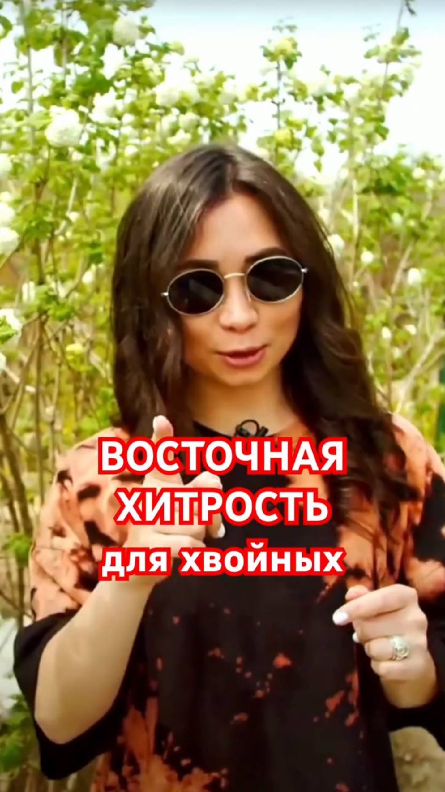 Зимняя ЗАЩИТА ХВОЙНЫХ в японском стиле