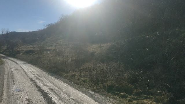 VID_20250127_143943