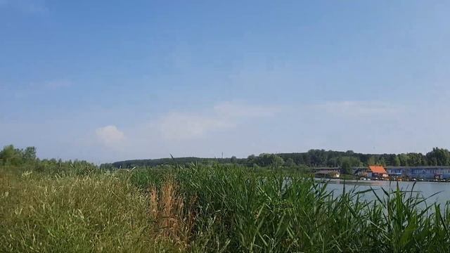 В жару пить - жизнь губить.