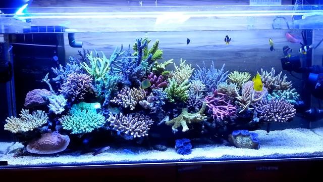2013.12.29　ＺＥＯvit　system　120×450×500cm 　The 338th day