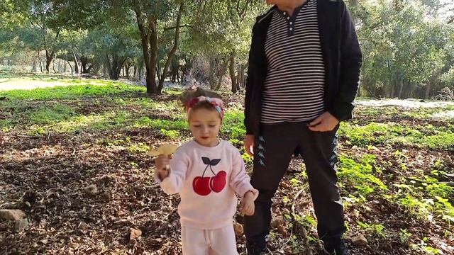 Ramat Menashe Parks, Природа