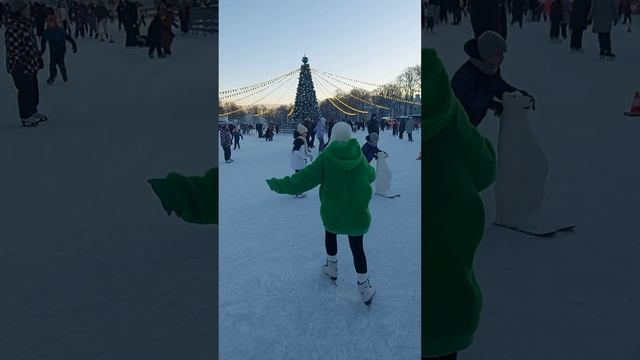Каток.Елагин остров 2025