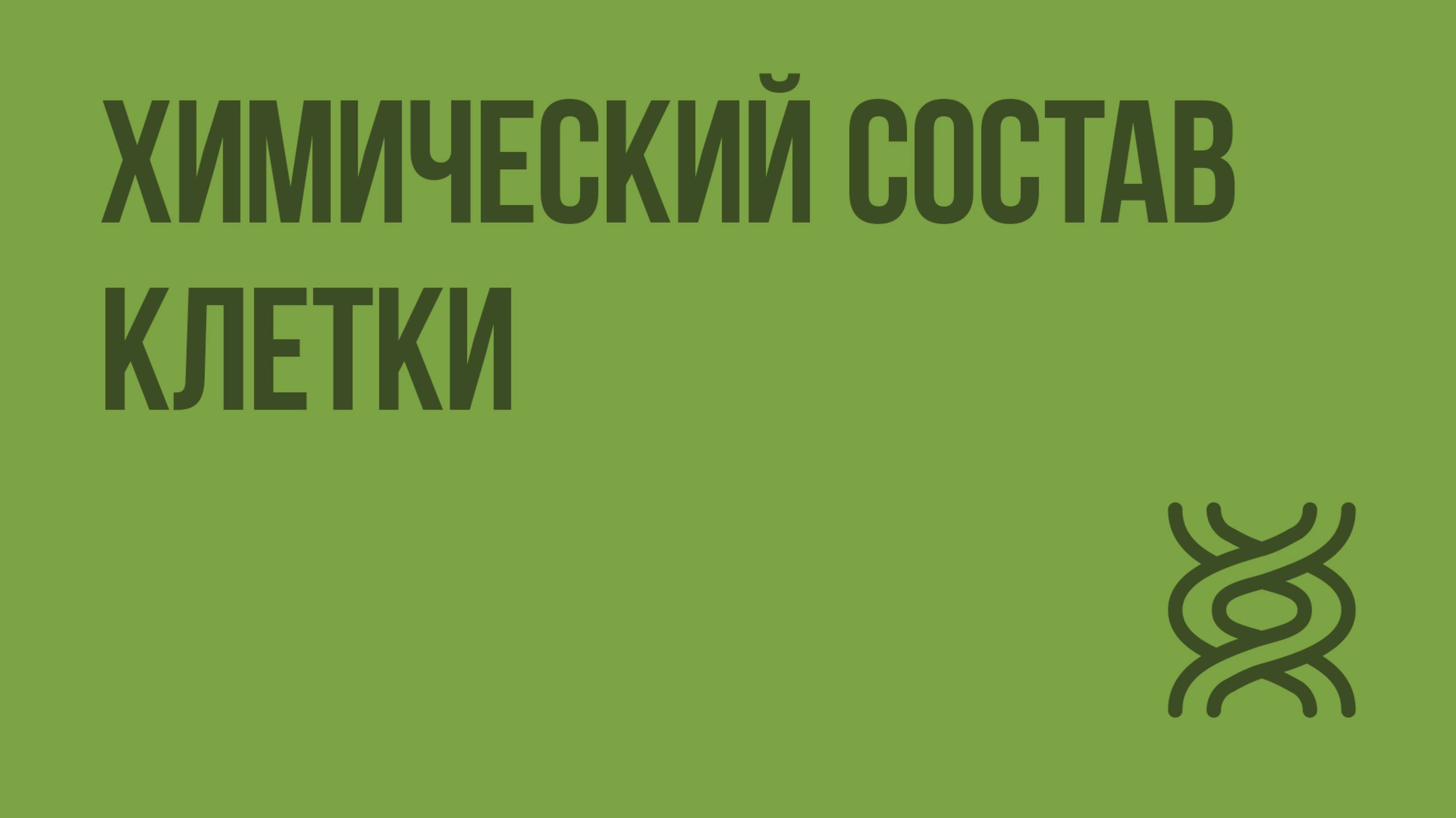 Химический состав клетки. Видеоурок по биологии 9 класс