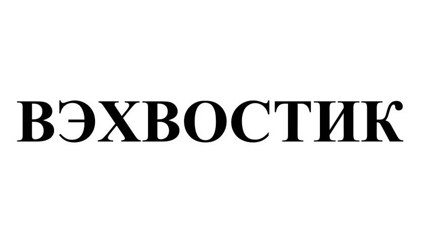 Правила ВЭХВОСТИКа_30.01.2025