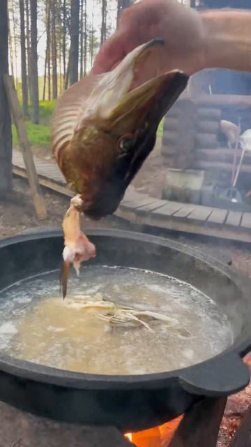 УХА ПО ЦАРСКИ РЫБАЛКА НОМЕР 1 В РОССИИ‼️ #рыбалка #щука  #fishing #рыба #еда
