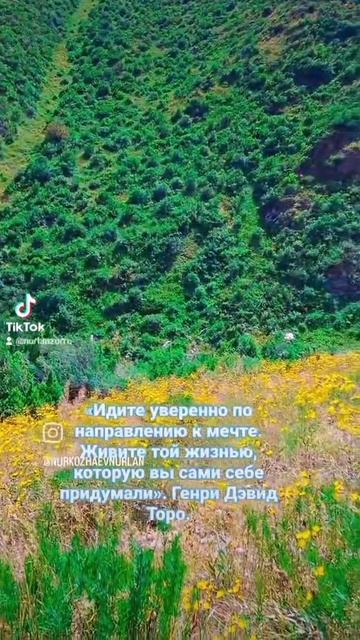 Выбор