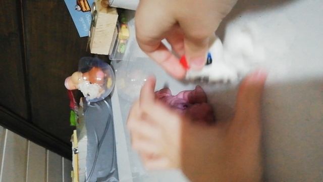VID_20250130_211523.mp4