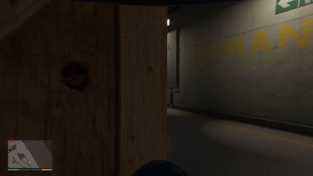 Grand Theft Auto V Gameplay- Monkey business