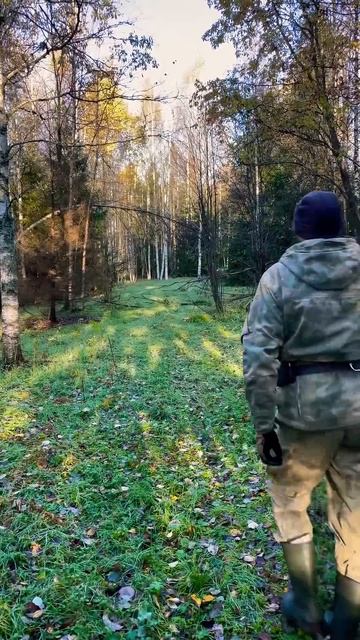 ЦАРСКАЯ охота на рябчика #охота #hunting #shorts #short #рябчик