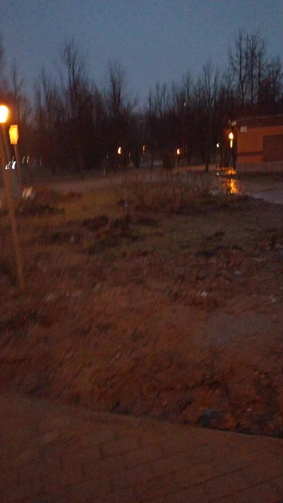 уничтож дворов