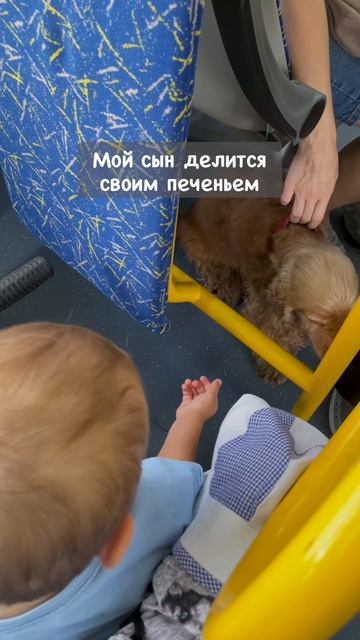 Встретились как-то два ангела  👼 👼…