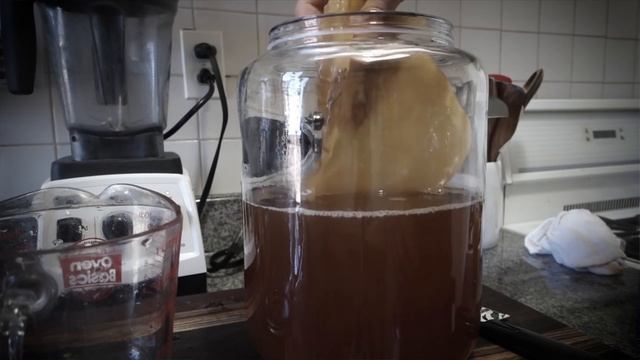 Workplace Culture | The Key to Creating Great Company Culture