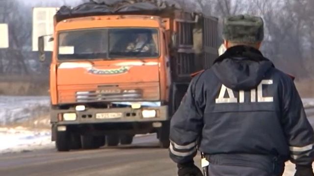 Как ветеринары борются с АЧС