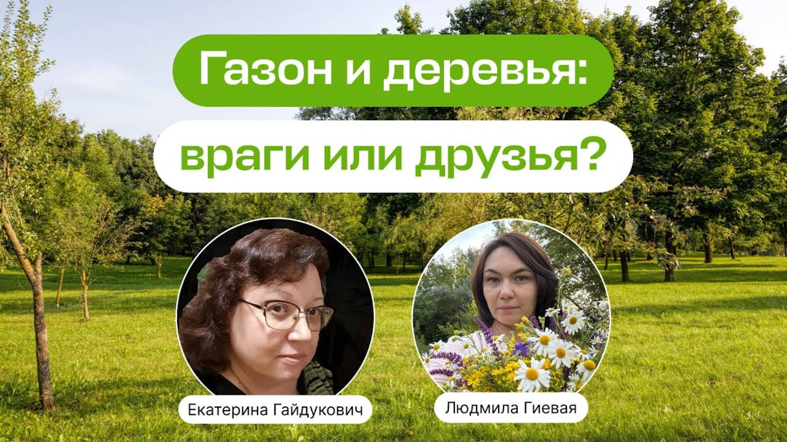 Как сочетать газон с деревьями и кустарниками _ Прямой эфир школы «Умный садовник»