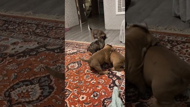 Вечера в веселой компании.