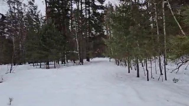 турист3.mp4