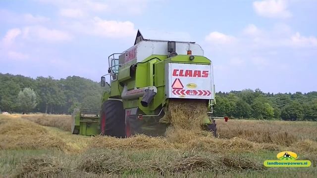 Claas Dominator mega 204 van Lammertink Markelo aan het dorsen