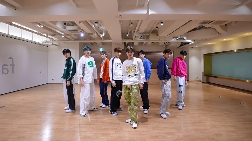 LUN8 - 'Wild Heart' Dance Practice Mirrored