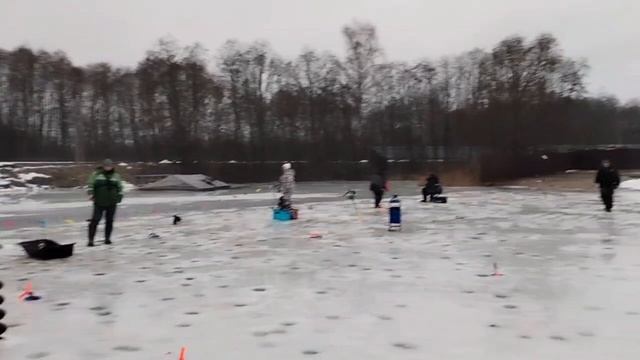 Ситуация на водоёме