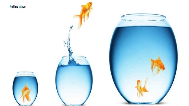 Techniques to plan Business Analysis  Activities
