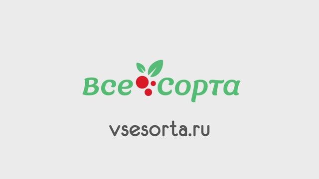 Все сорта - интернет-магазин растений, промо ролик