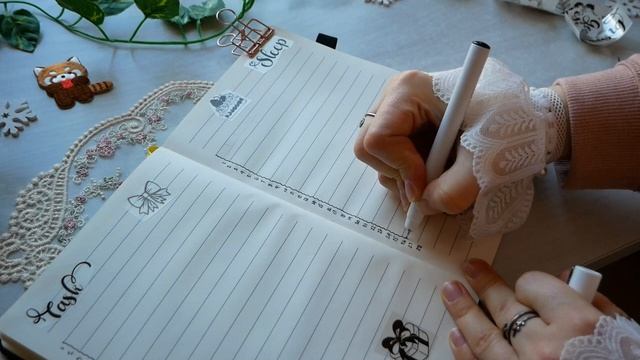 Minimalist February 2025 Bullet Journal Setup Plan With Me with Phomemo Printer