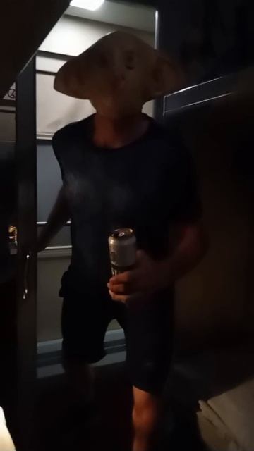 Добби едет а Уэльс