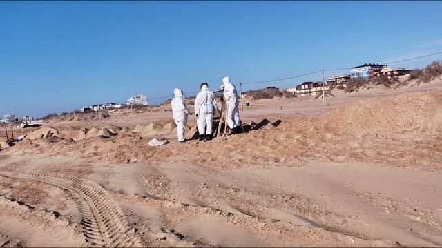 Витязево, цетральный пляж. Состояние. Прогноз.