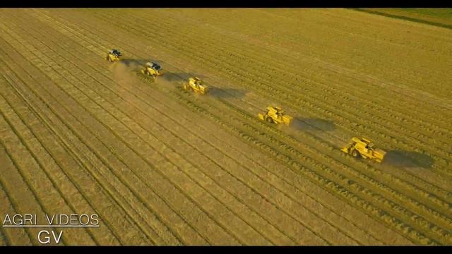Harvesting Grass Seed 2021 | New Holland CX 7.90 | CX 8050 | New Holland TX 66 (x2) | TX68 | 4K