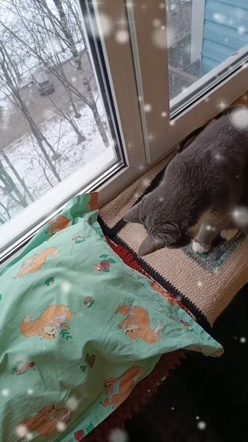 Пуся 😺