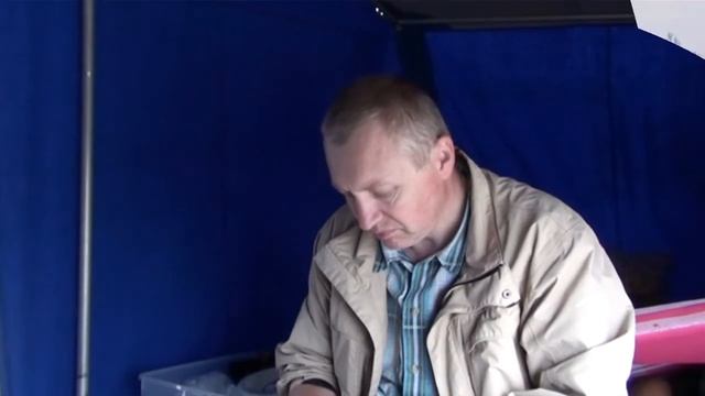 Утро в шведском лесу. Первые километры дня.