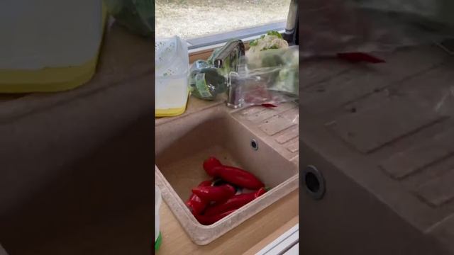 Tvarka su Tupperware šaldytuve