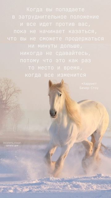 Цитата дня