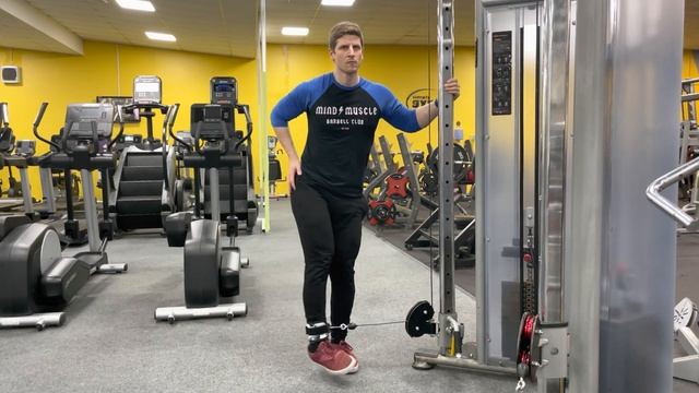 Standing Cable Abductions - Exercise Demo
