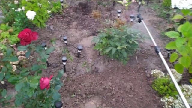 ОДИН ДЕНЬ ИЗ ДАЧНОЙ ЖИЗНИ | КАКОЙ НАС ЖДЁТ УРОЖАЙ | АККУМУЛЯТОРНЫЙ ОПРЫСКИВАТЕЛЬ